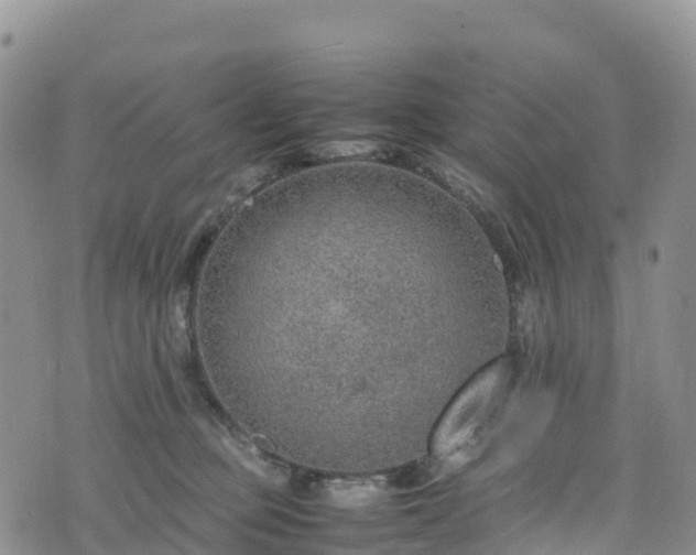 X0000074290373200609011413