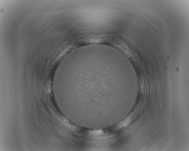 X0000074290374200609011413