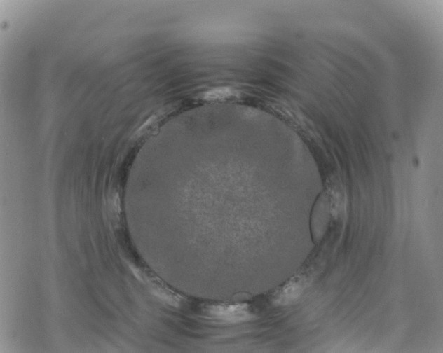 X0000074290375200609011413