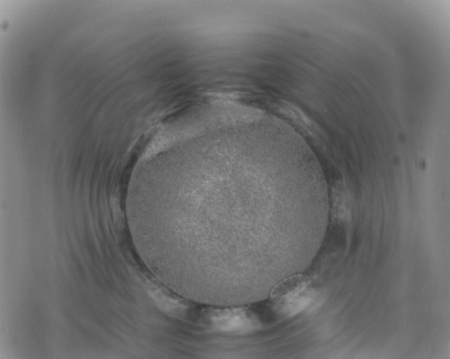 X0000074290377200609011413