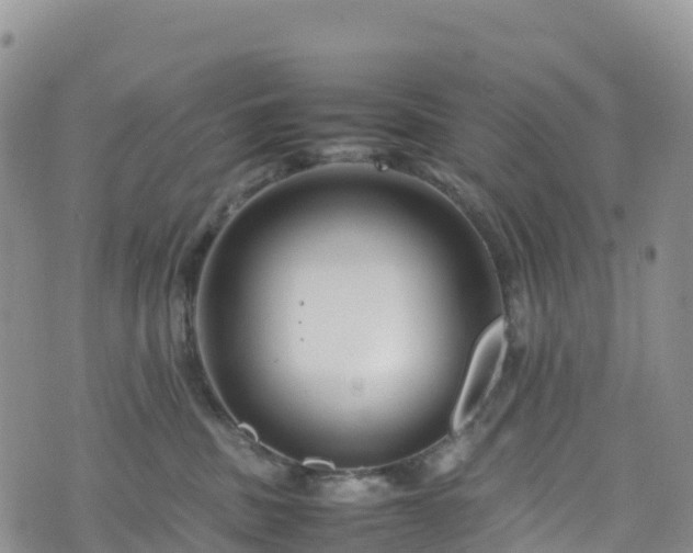 X0000074290379200609011413