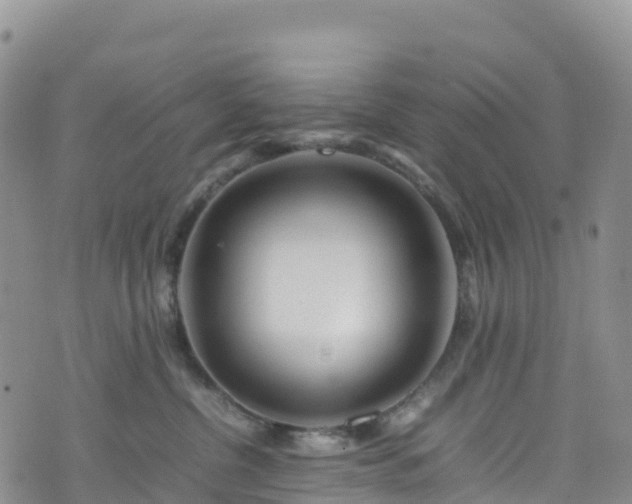 X0000074290380200609011413