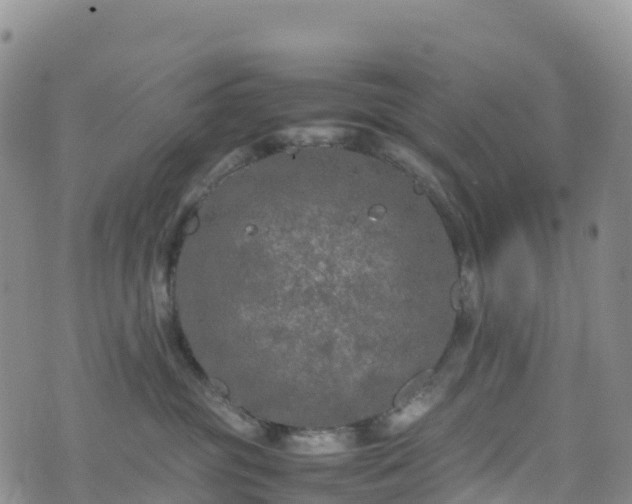 X0000074290381200609011413