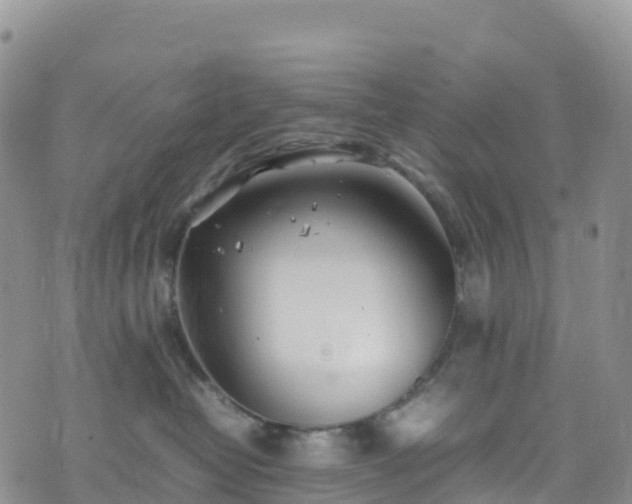 X0000074290382200609011413