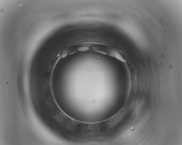 X0000074290383200609011413