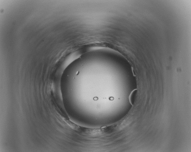 X0000074290384200609011413