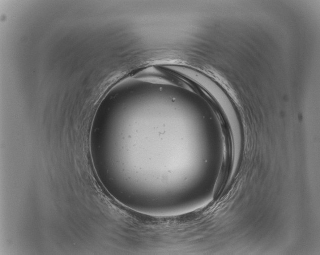 X0000074290385200609011412