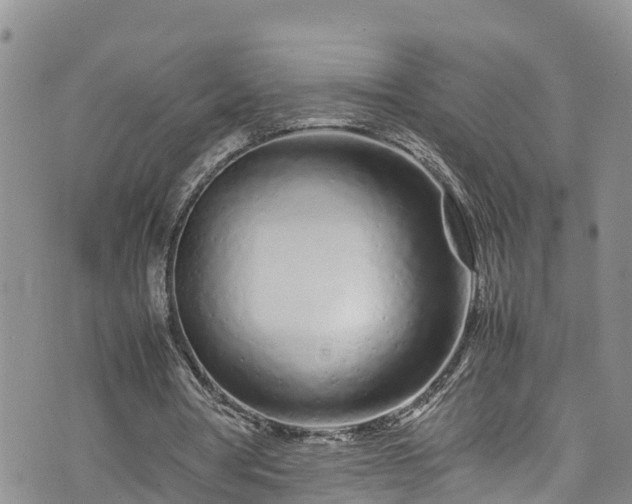 X0000074290386200609011412