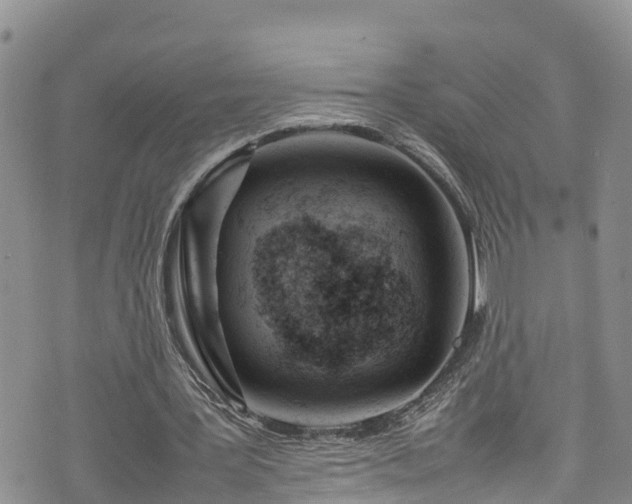 X0000074290387200609011412