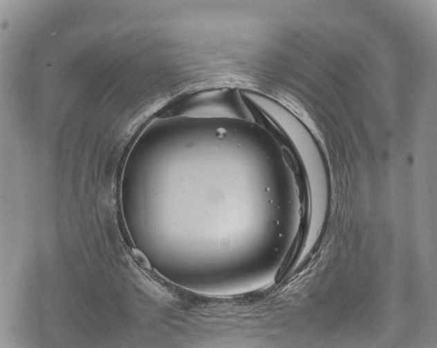 X0000074290389200609011412