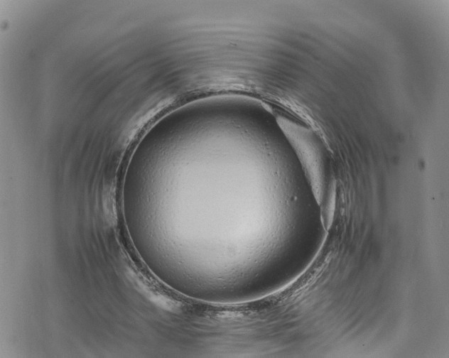 X0000074290390200609011412