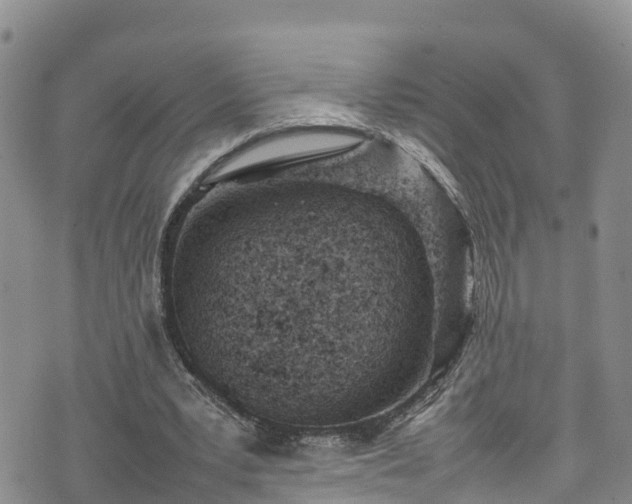 X0000074290391200609011412