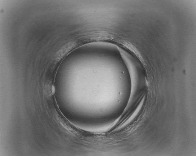 X0000074290393200609011412