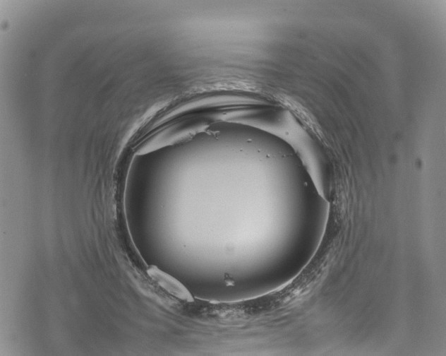 X0000074290395200609011412