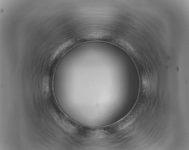 X0000074290396200609011412