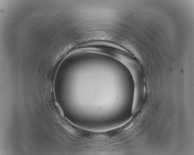 X0000074290397200609011412