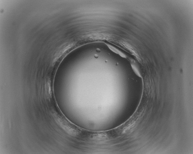 X0000074290398200609011412