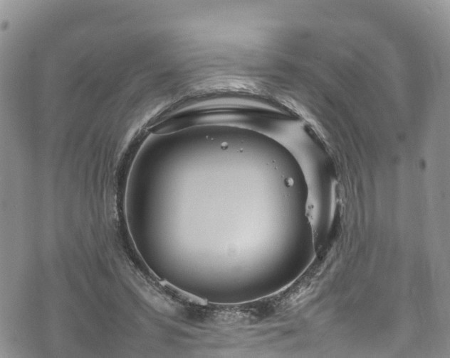 X0000074290399200609011412