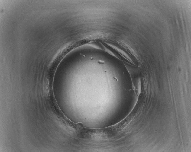 X0000074290400200609011412