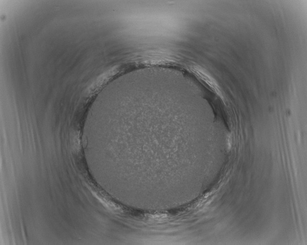 X0000074290401200609011412