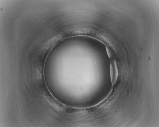 X0000074290402200609011412