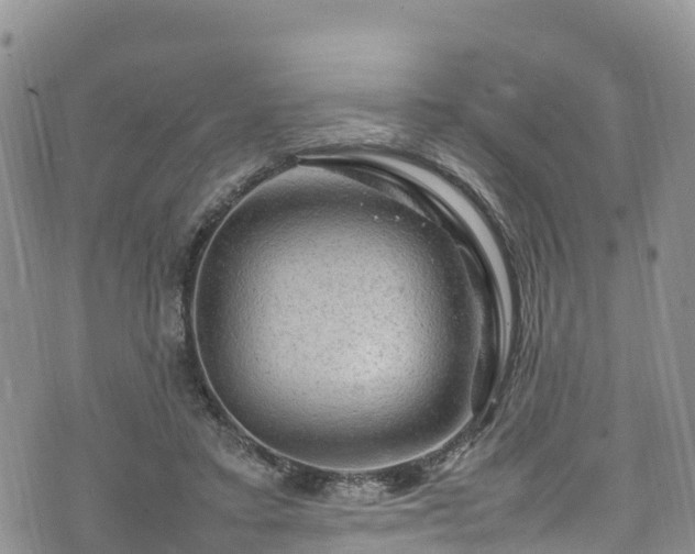 X0000074290403200609011412