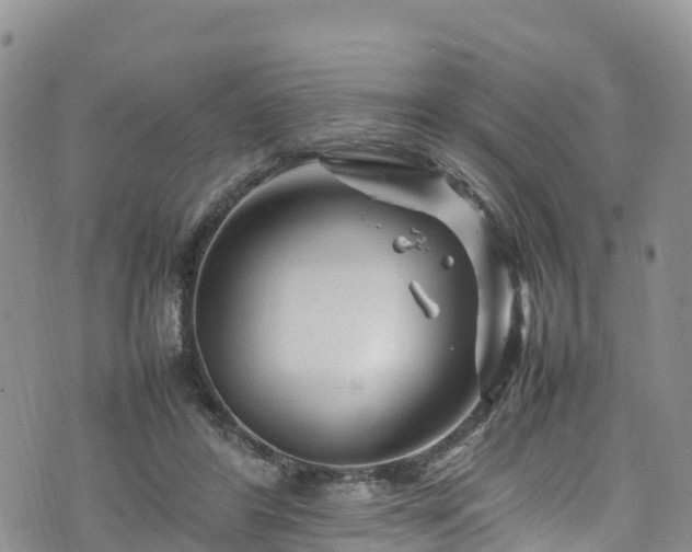 X0000074290404200609011412