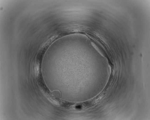 X0000074290406200609011412