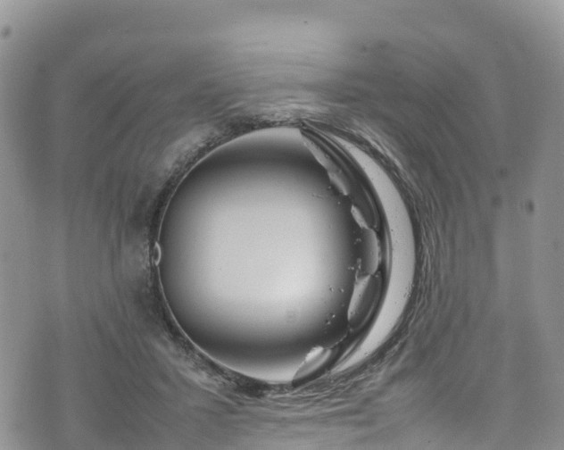 X0000074290407200609011412