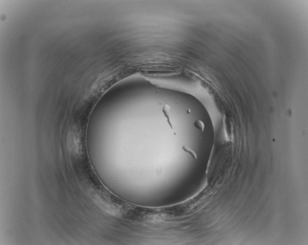 X0000074290408200609011412