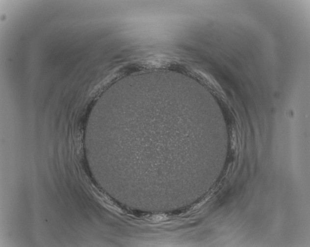 X0000074290409200609011412