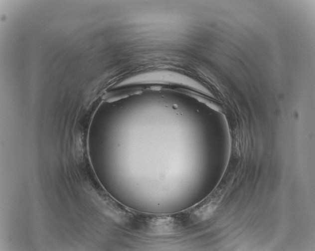 X0000074290410200609011412