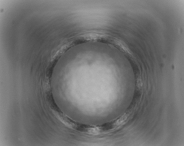 X0000074290411200609011412