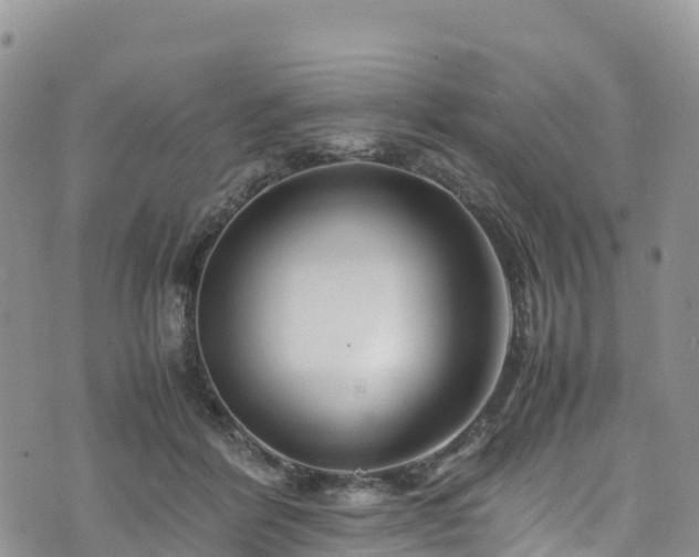 X0000074290412200609011412