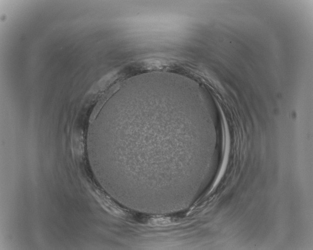 X0000074290413200609011412