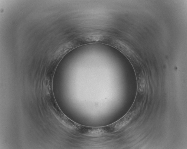 X0000074290414200609011412