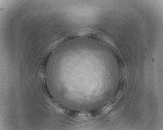 X0000074290415200609011412