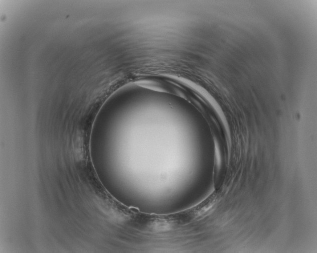 X0000074290416200609011412