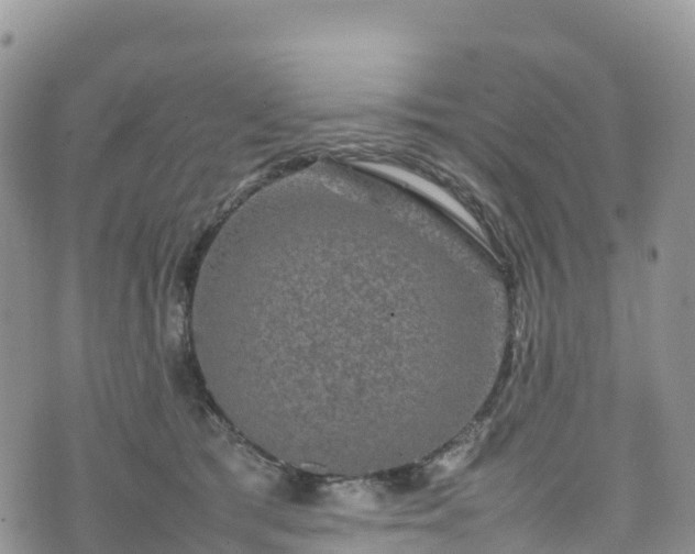 X0000074290417200609011412