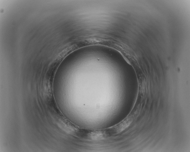 X0000074290418200609011412