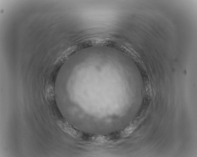 X0000074290419200609011412