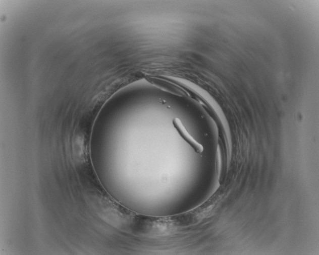 X0000074290420200609011412