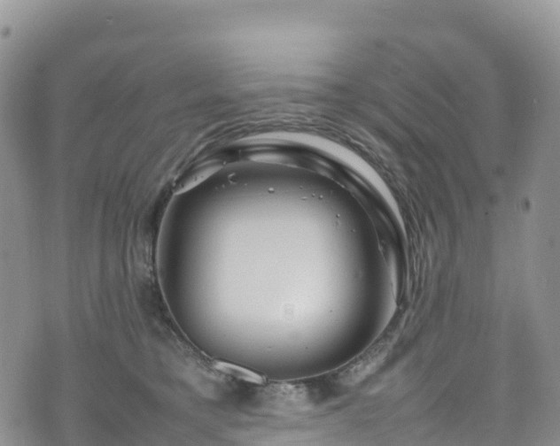 X0000074290421200609011412