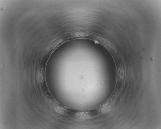 X0000074290422200609011412