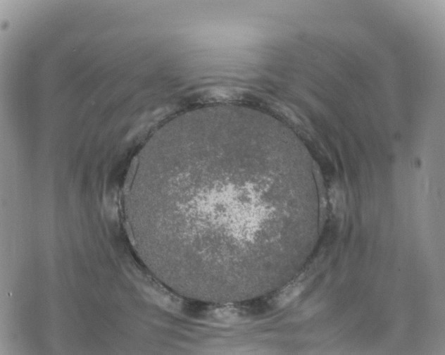 X0000074290423200609011412