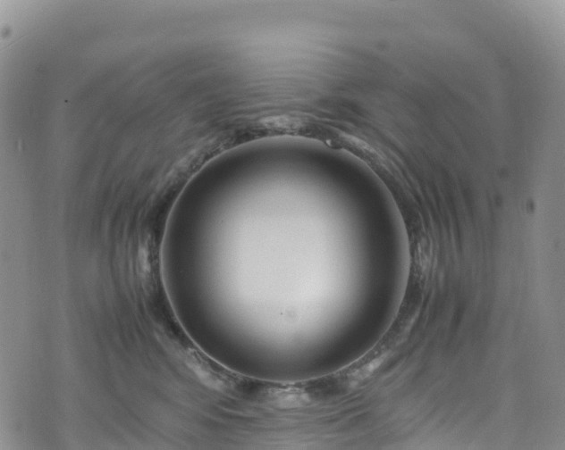 X0000074290424200609011412