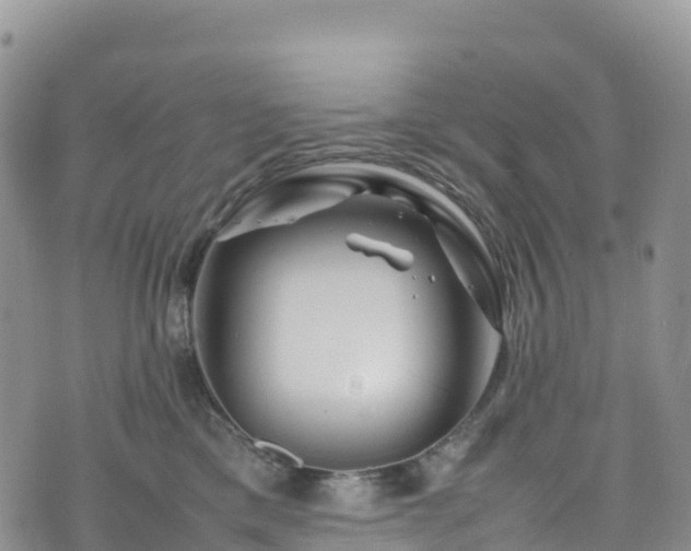 X0000074290425200609011412