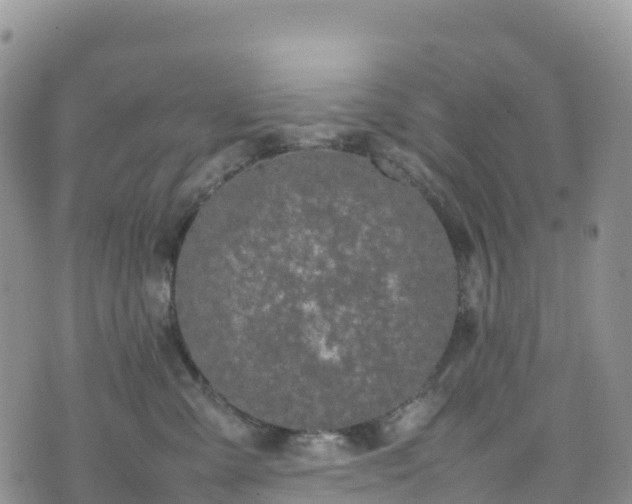 X0000074290427200609011412