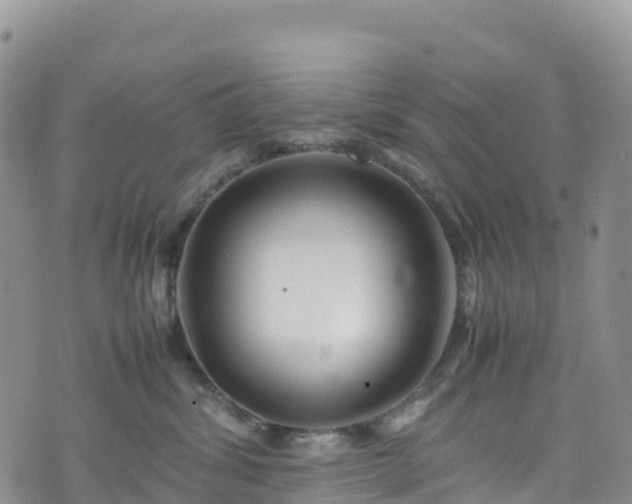 X0000074290428200609011412