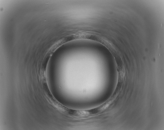 X0000074290429200609011412